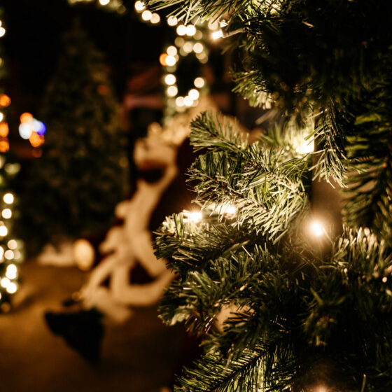 A tree is lit up for Christmas in Le Mars