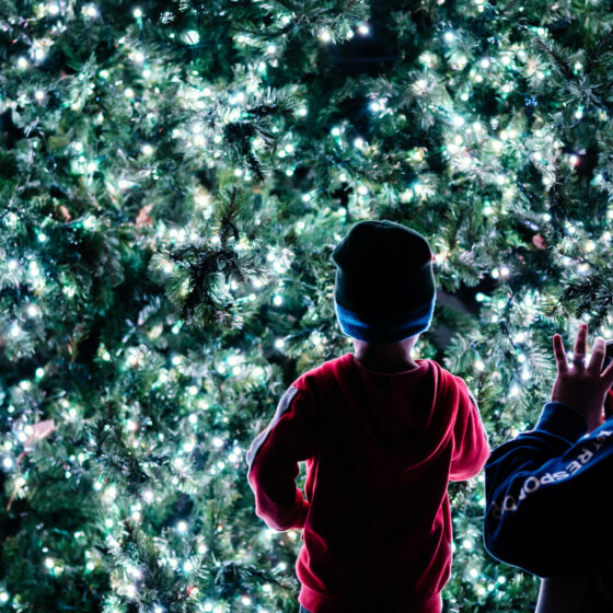 A young boy looks at a lit christmas tree in wonder