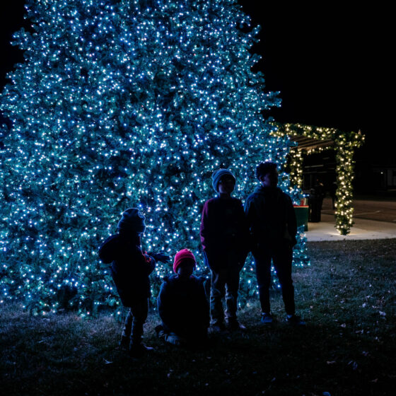 A christmas tree in Le Mars Iowa is lit up with blue hue lights